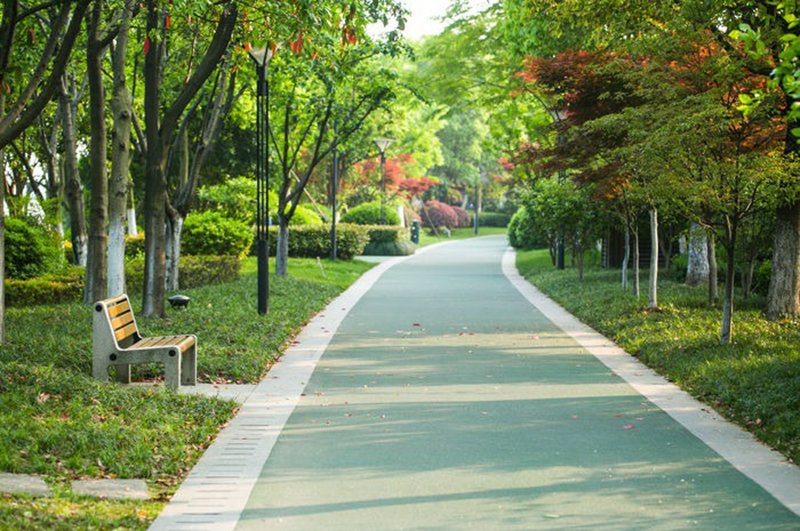 游步道